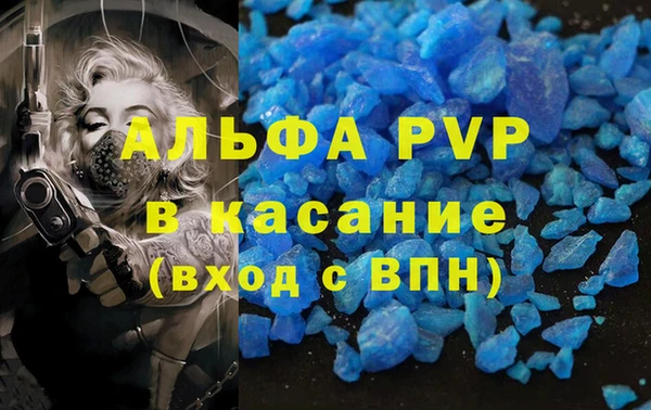 прущие грибы Арсеньев