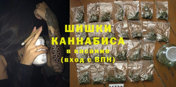 ПСИЛОЦИБИНОВЫЕ ГРИБЫ Анива