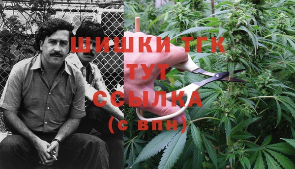 прущие грибы Арсеньев