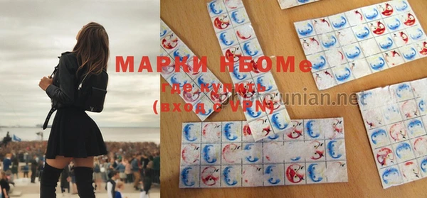прущие грибы Арсеньев