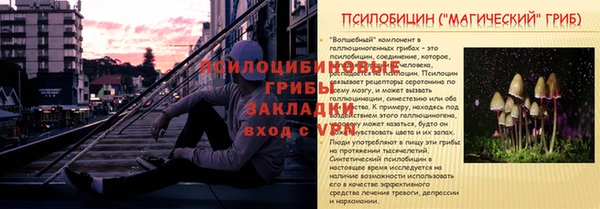 ПСИЛОЦИБИНОВЫЕ ГРИБЫ Анива