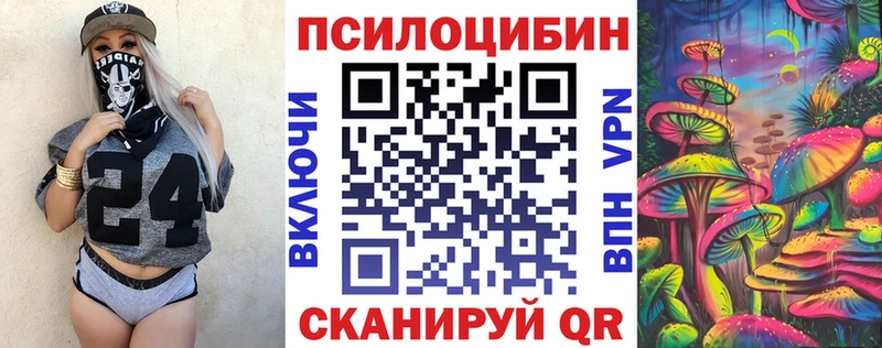 Галлюциногенные грибы Psilocybine cubensis  закладка  Ноябрьск 